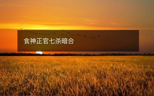 食神正官七殺暗合