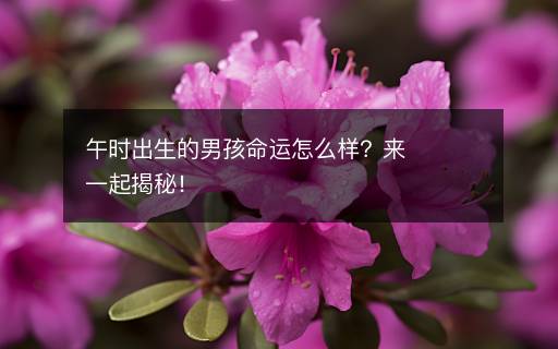 午時(shí)出生的男孩命運(yùn)怎么樣？來一起揭秘！