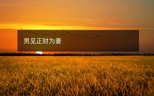 男見正財(cái)為妻