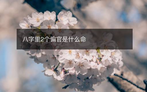 八字里2個(gè)偏官是什么命