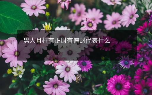 男人月柱有正財有偏財代表什么