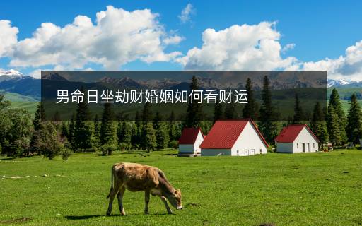 男命日坐劫財(cái)婚姻如何看財(cái)運(yùn)