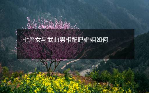 七殺女與武曲男相配嗎婚姻如何