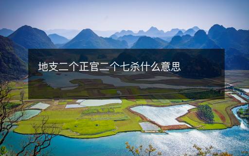 地支二個正官二個七殺什么意思