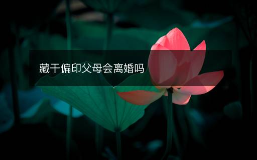 藏干偏印父母會離婚嗎