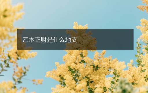 乙木正財是什么地支