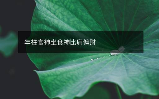 年柱食神坐食神比肩偏財(cái)