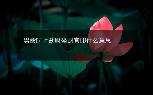 男命時(shí)上劫財(cái)坐財(cái)官印什么意思