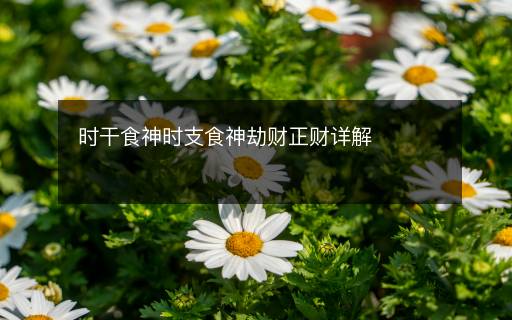 時干食神時支食神劫財正財詳解