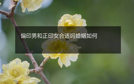 偏印男和正印女合適嗎婚姻如何