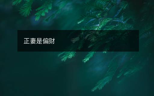 正妻是偏財