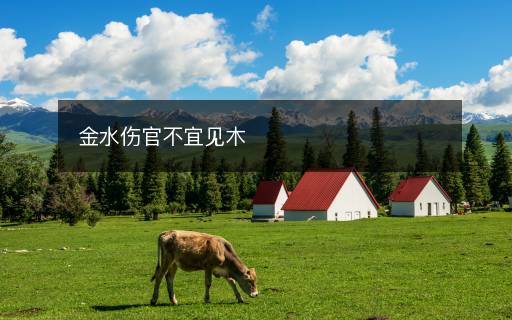 金水傷官不宜見木