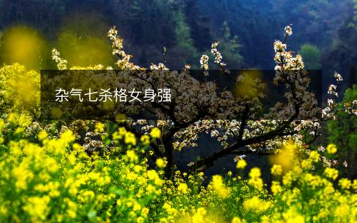 雜氣七殺格女身強(qiáng)