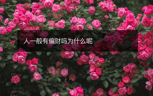 人一般有偏財(cái)嗎為什么呢