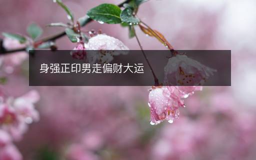身強(qiáng)正印男走偏財(cái)大運(yùn)