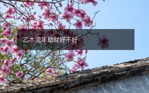 乙木流年劫財好不好