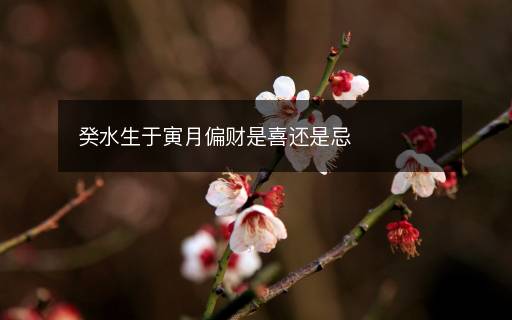 癸水生于寅月偏財(cái)是喜還是忌