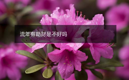 流年有劫財是不好嗎