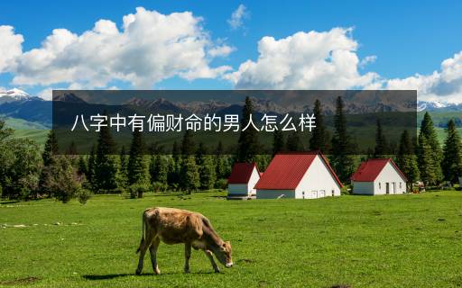 八字中有偏財命的男人怎么樣