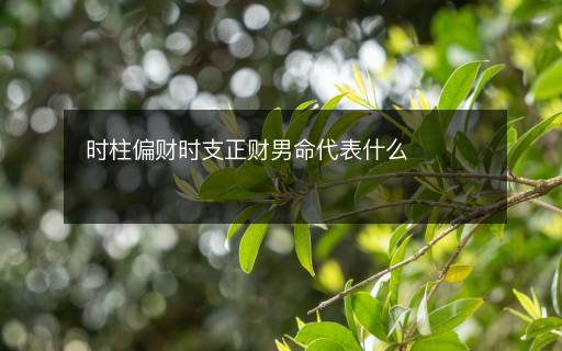 時(shí)柱偏財(cái)時(shí)支正財(cái)男命代表什么