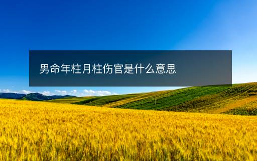 男命年柱月柱傷官是什么意思