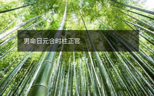 男命日元合時柱正官