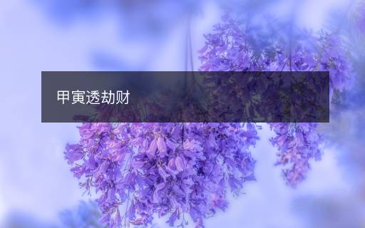 甲寅透劫財(cái)