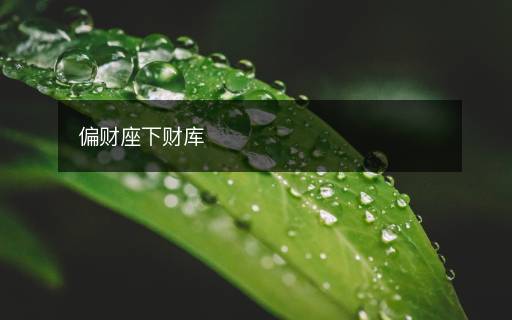 偏財座下財庫