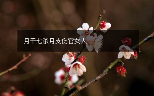 月干七殺月支傷官女人