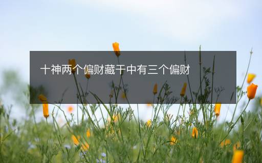 十神兩個偏財藏干中有三個偏財