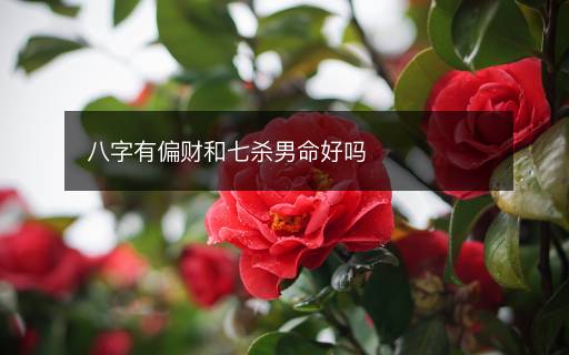 八字有偏財(cái)和七殺男命好嗎