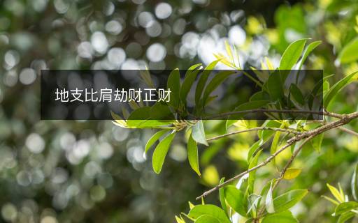 地支比肩劫財(cái)正財(cái)