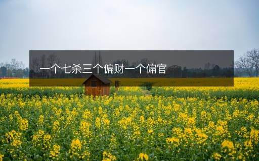 一個(gè)七殺三個(gè)偏財(cái)一個(gè)偏官