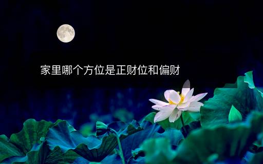 家里哪個方位是正財位和偏財