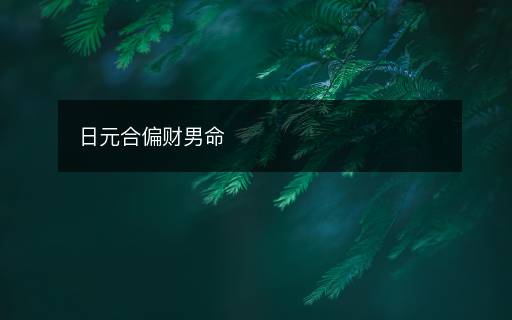 日元合偏財(cái)男命