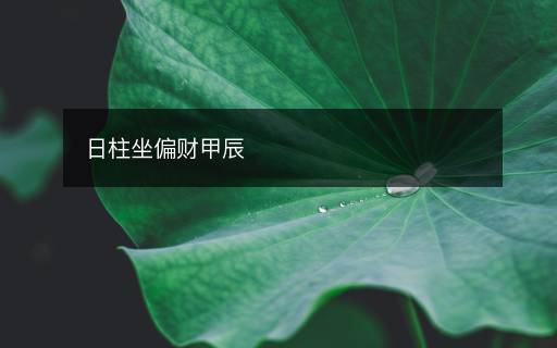 日柱坐偏財(cái)甲辰