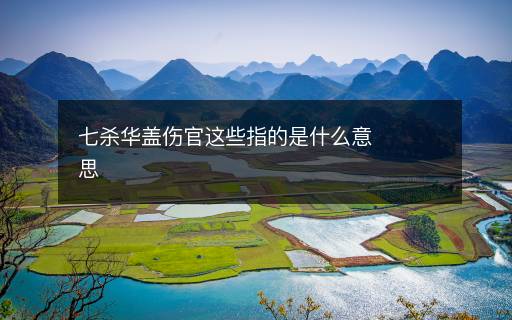 七殺華蓋傷官這些指的是什么意思