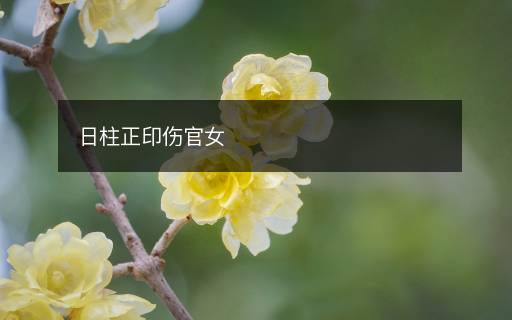日柱正印傷官女