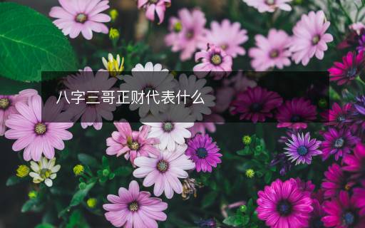 八字三哥正財(cái)代表什么
