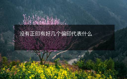 沒有正印有好幾個(gè)偏印代表什么