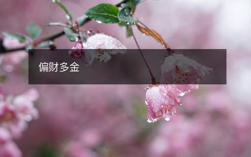 偏財(cái)多金
