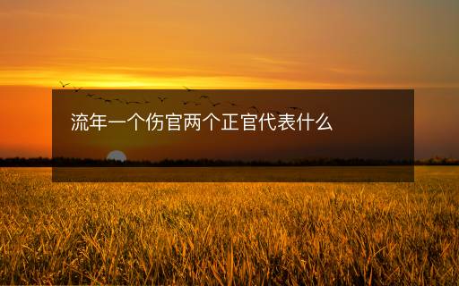 流年一個(gè)傷官兩個(gè)正官代表什么