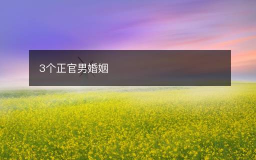 3個正官男婚姻