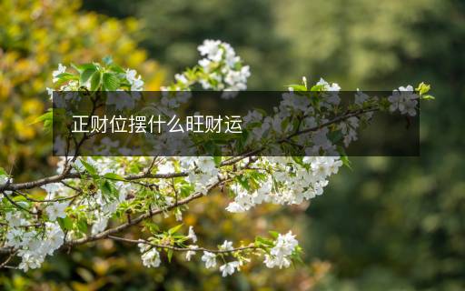 正財(cái)位擺什么旺財(cái)運(yùn)