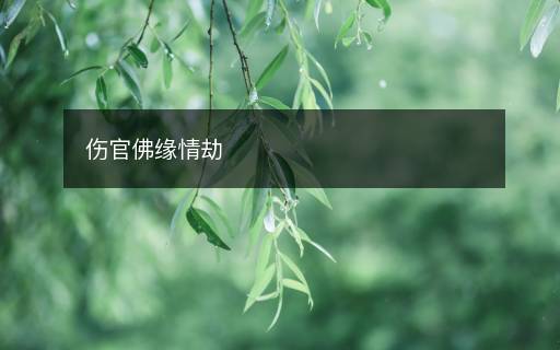 傷官佛緣情劫