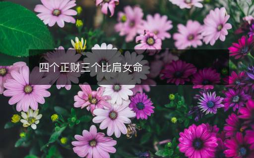 四個正財三個比肩女命