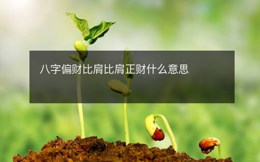 八字偏財比肩比肩正財什么意思
