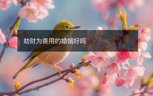 劫財為喜用的婚姻好嗎