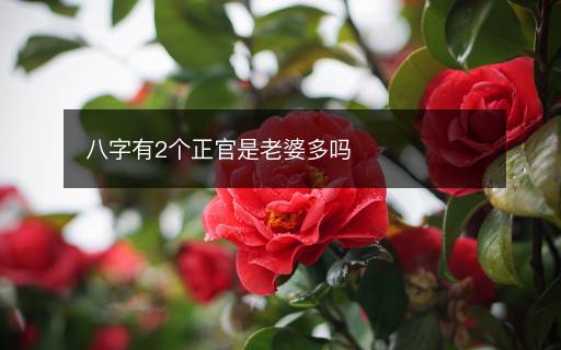 八字有2個正官是老婆多嗎