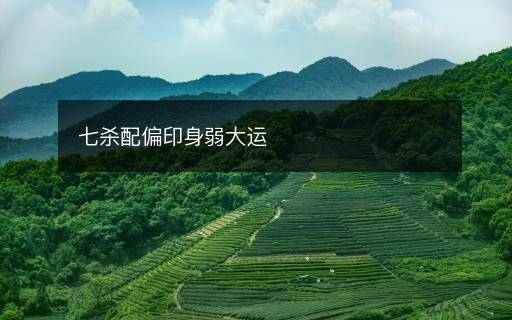 七殺配偏印身弱大運(yùn)